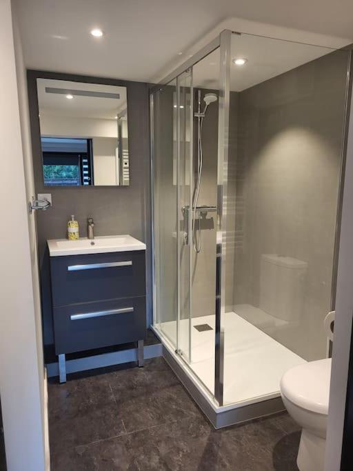 Le Bellevue Apartment Epagny Metz-Tessy Ngoại thất bức ảnh